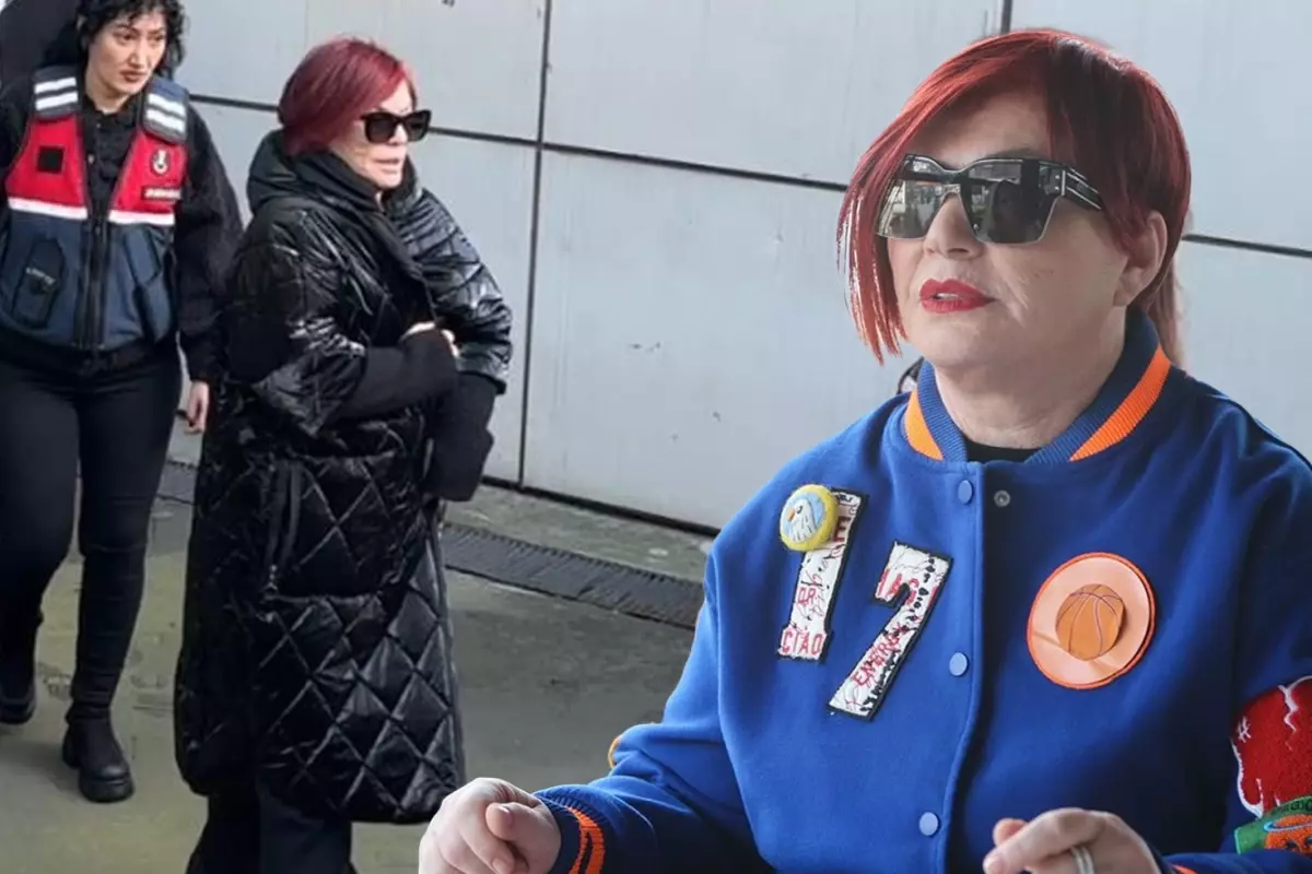 Emel Müftüoğlu'nun ifadesi ortaya çıktı: Dikkat çeken sözler