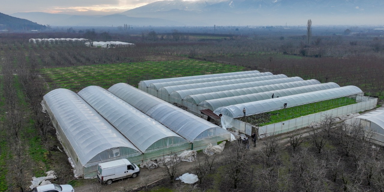 Bursa Büyükşehir’den lodostan etkilenen sera üreticilerine destek
