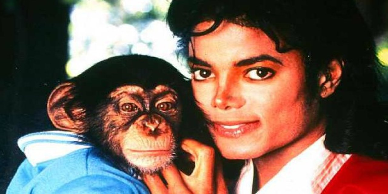 Michael Jackson’ın şempanzesi Bubbles şimdi ne yapıyor?