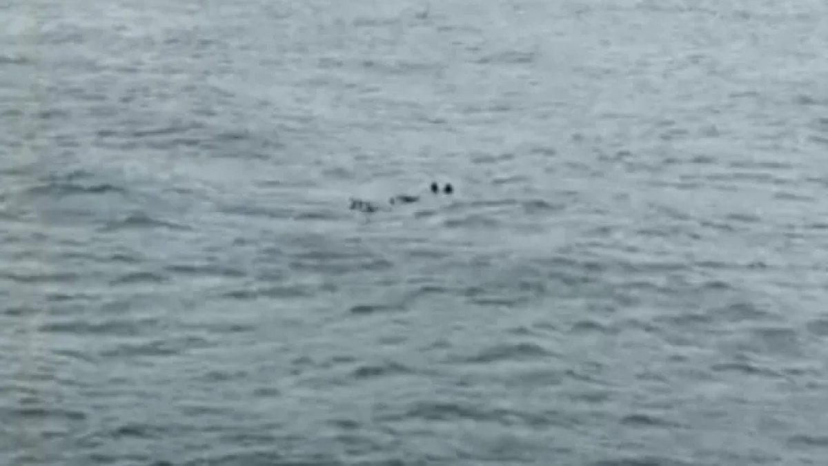 İstanbul Boğazı’nda erkek cesedi bulundu