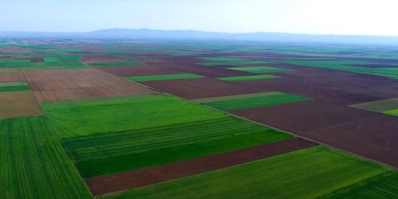 Danıştay’dan Alpu Ovası’na ilişkin termik santral projesi hakkında bozma kararı