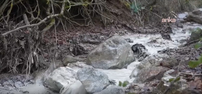 Bir ilde facia: Maden barajı çöktü kimyasallar dereye ve toprağa karıştı