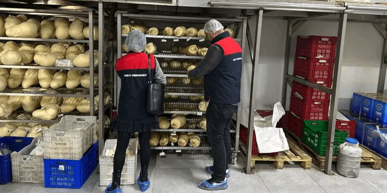 Tarım ve Orman Bakanlığı duyurdu: Gıda kontrollerinde artık zorunlu oldu