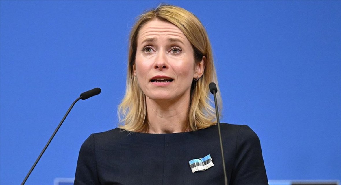 AB'den dünyaya orman kanunu eleştirisi: Hayvanlar bile iş birliği yapar