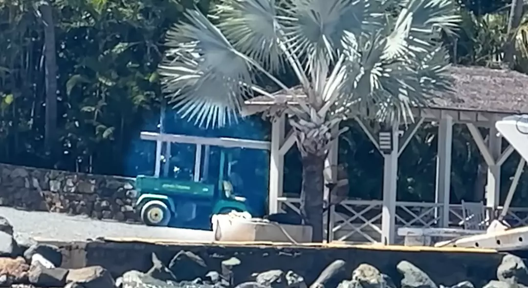 Epstein skandalında korkunç görüntüler! Epstein Adası'na gizlice girmiş