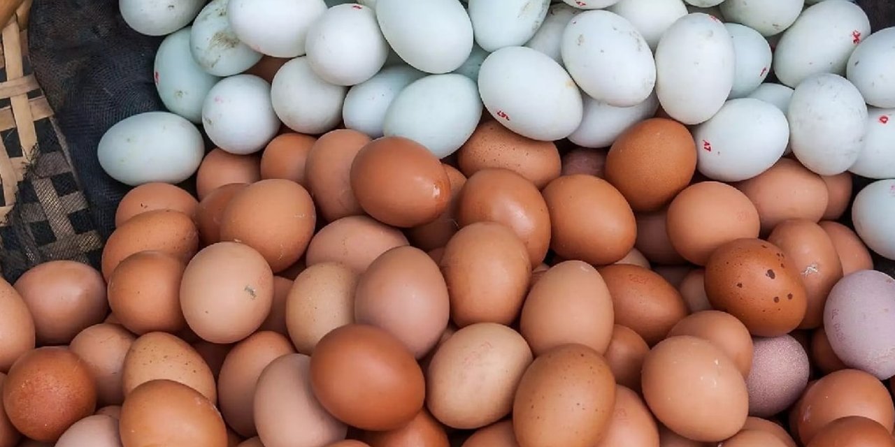 Market raflarında büyük değişim: Kahverengi yumurta tarihe karışıyor