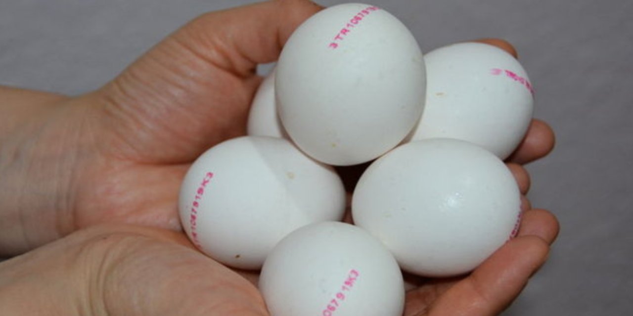 Yumurtaların üzerindeki sayılar ne anlama gelir? En doğal yumurtanın ilk numarası nedir?