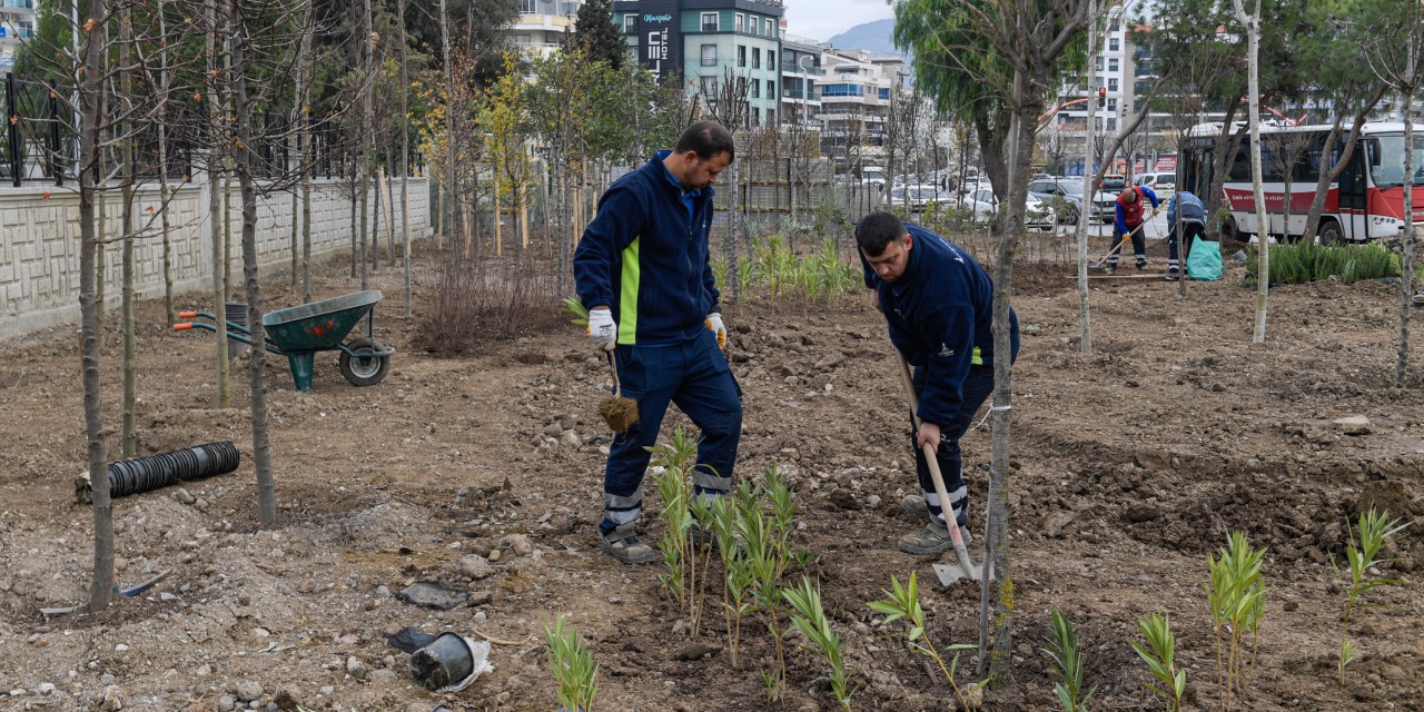 İzmir’de atıl alanlar mini ormanlara dönüştürülüyor