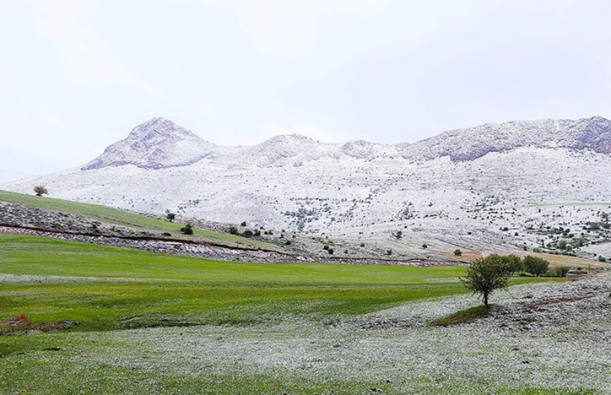 Doğu Karadeniz'in yükseklerinde sıcaklıklar düştü: Yaylalar beyaza büründü