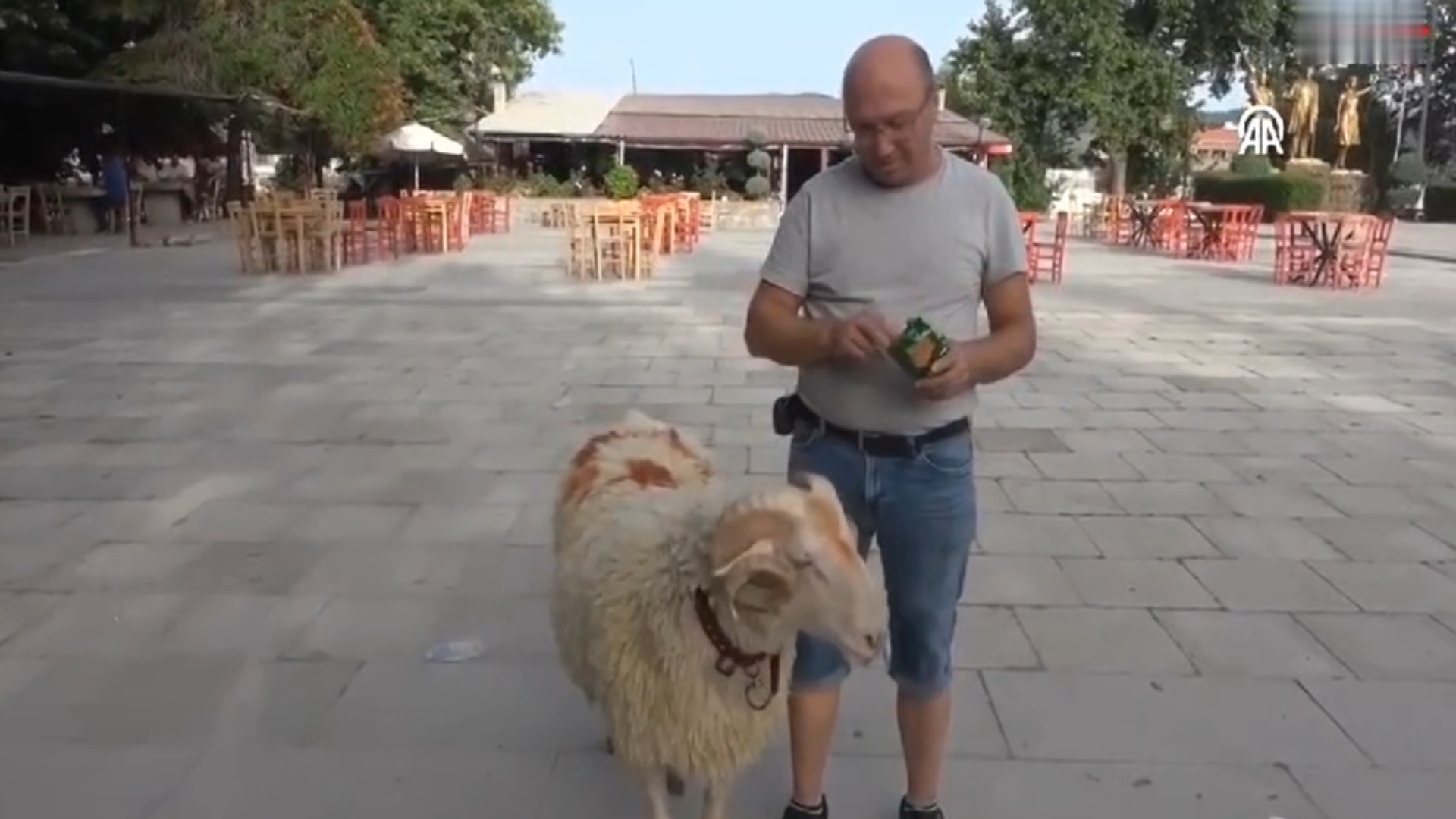 'İnsan arkadaşını mangalda pişirir mi?'