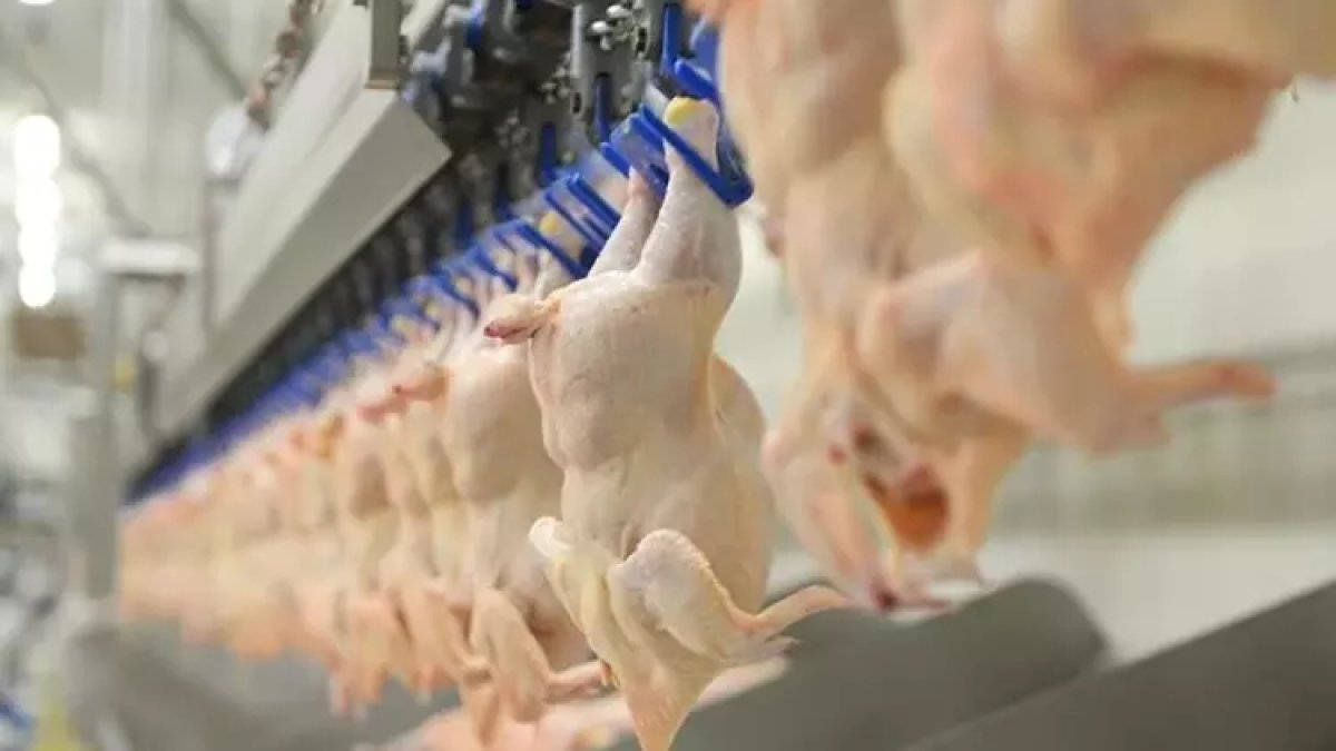 Ticaret Bakanlığı: Kanatlı eti ihracatı durduruldu