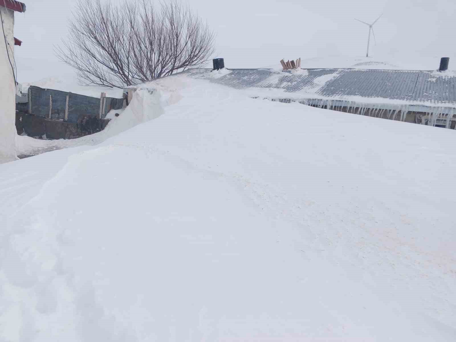 Ağrı’da kar esareti: Evler kar yığınlarının arasında kaldı