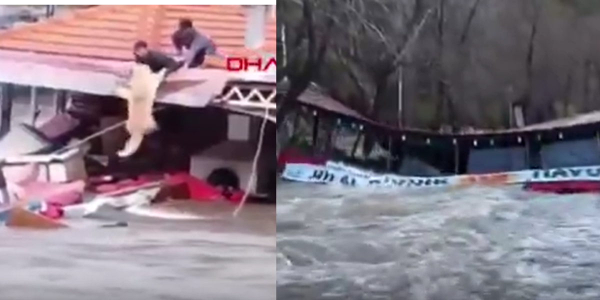 Antalya'da sel faciası: Evler sular altında kaldı! Deredeki restoranlar sele kapıldı