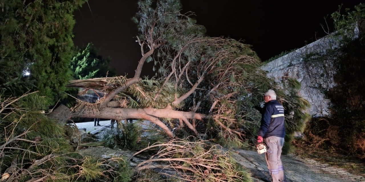 Bodrum’da lodos fırtınasında Park ve Bahçeler ekipleri sahadaydı