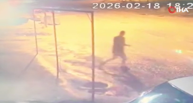 Adıyaman'da sahipsiz köpek dehşeti