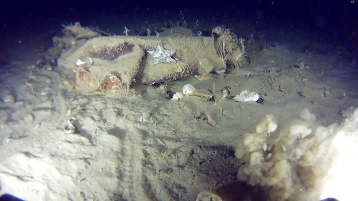 51 yıllık sır Marmara Denizi'nde aralanıyor: 45 kişiye mezar olan uçağın enkazında yeni bulgular