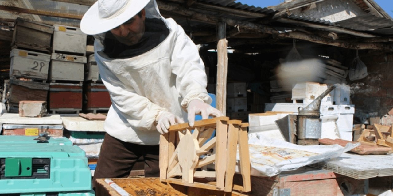 Kovanda seçim heyecanı: Ampul, altı ok ve üç hilal yarışıyor! Kazananı arılar belirleyecek