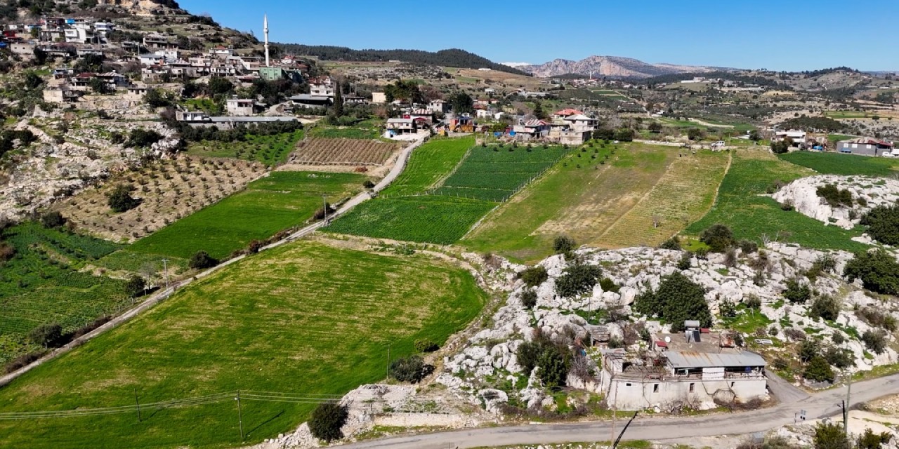Mersin Büyükşehir’in hibe desteğiyle atıl araziler üretime kazandırılıyor