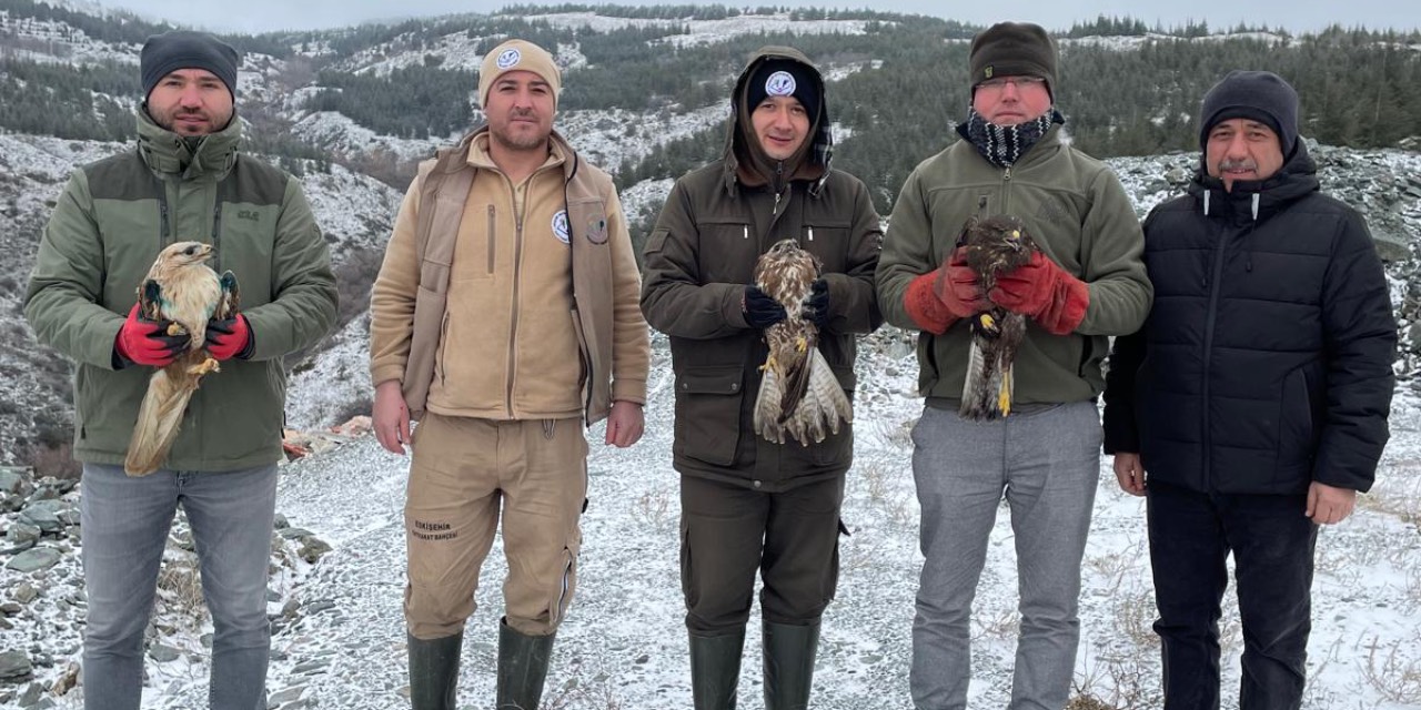 Eskişehir Hayvanat Bahçesi yırtıcı kuşları doğaya saldı