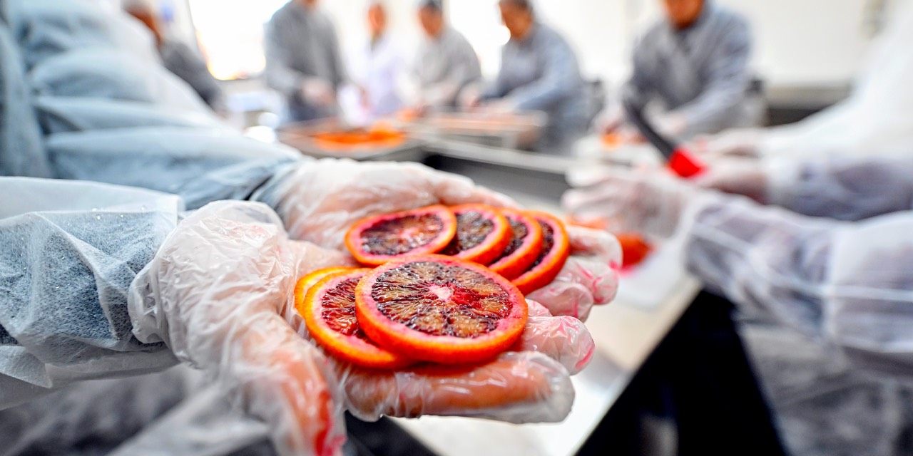 Mersin Büyükşehir, coğrafi işaretli kan portakalını kadın emeğiyle işliyor