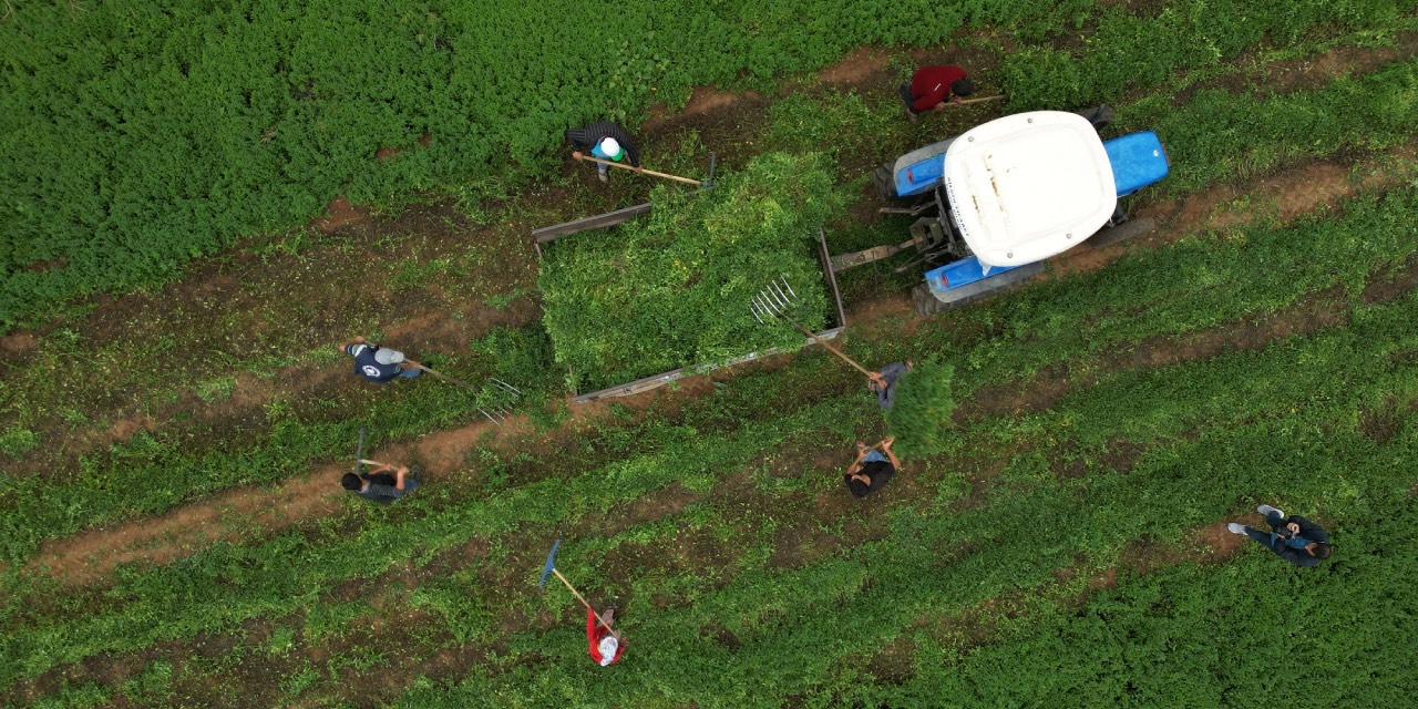 Gaziantep Büyükşehir’den Nizip’te çiftçilere örnek tarımsal destekler