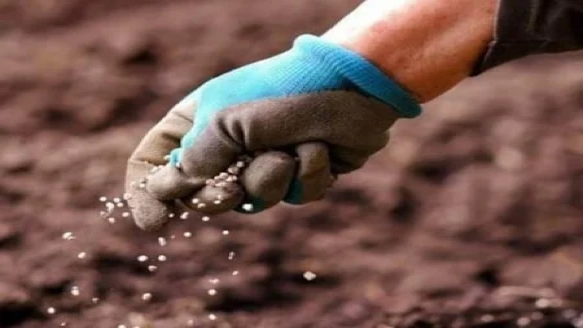 Bakanlık açıkladı: “Gübre sektöründe arz güvenliği teminen gümrük vergileri sıfırlanmıştır”
