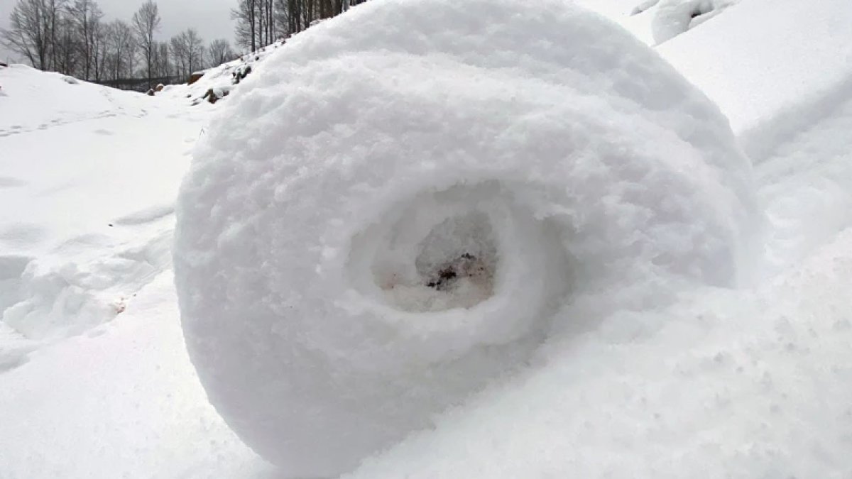 Dünya'da nadir görülüyor: Amasya'da ortaya çıktı