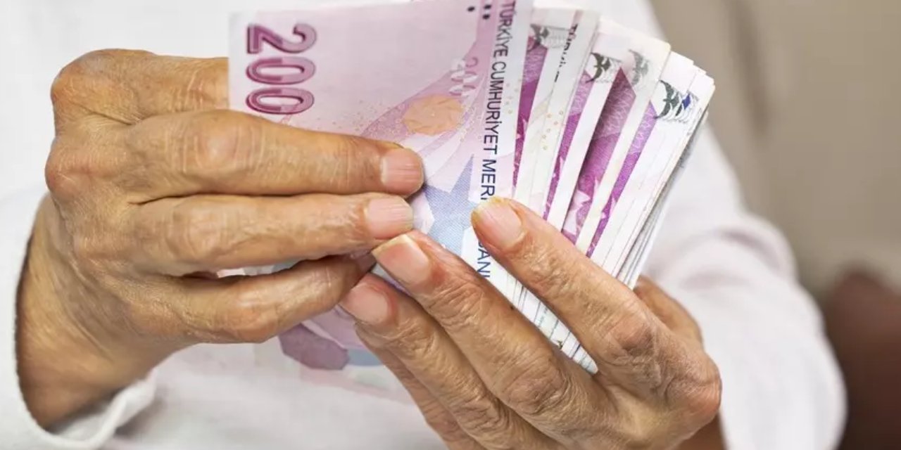 650 bin kişinin emekliliği iptal edildi! 'K, Ş ve S' kodlu dosyalar mercek altında: E-devletten kontrol edin