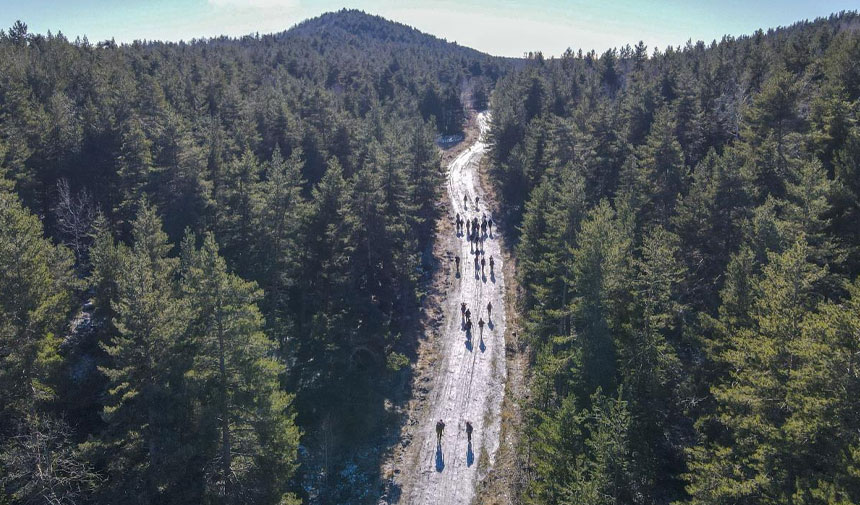 Bu illerde yaşayanlar dikkat! Türkiye genelinde 35 ilde ormanlara giriş yasaklandı