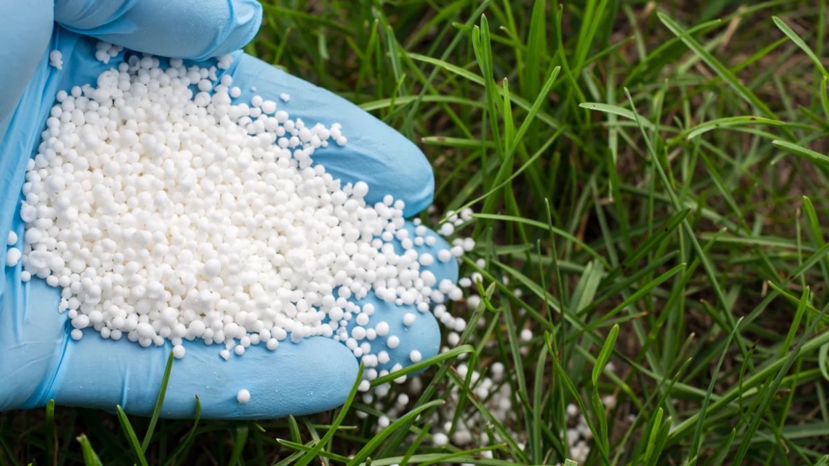 10 yıl aradan sonra yasak kaldırıldı: İran savaşı sonrası Türkiye’de serbest oldu