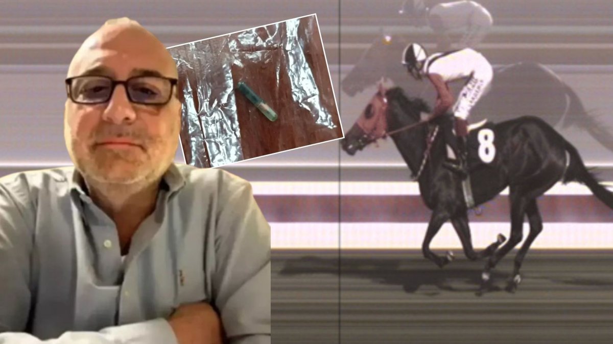 Mersin'de kesip aşevinde kavurma olarak dağıtıldı: Şampiyon atın Sahibi ilk kez konuştu