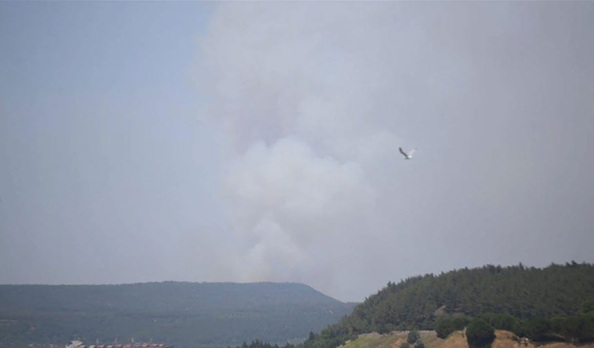 Çanakkale'de orman yangını