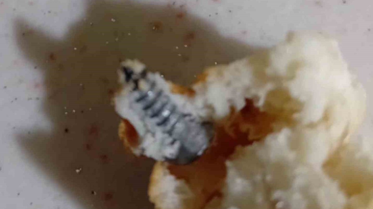 Ekmek aldı: İçinden vida çıktı