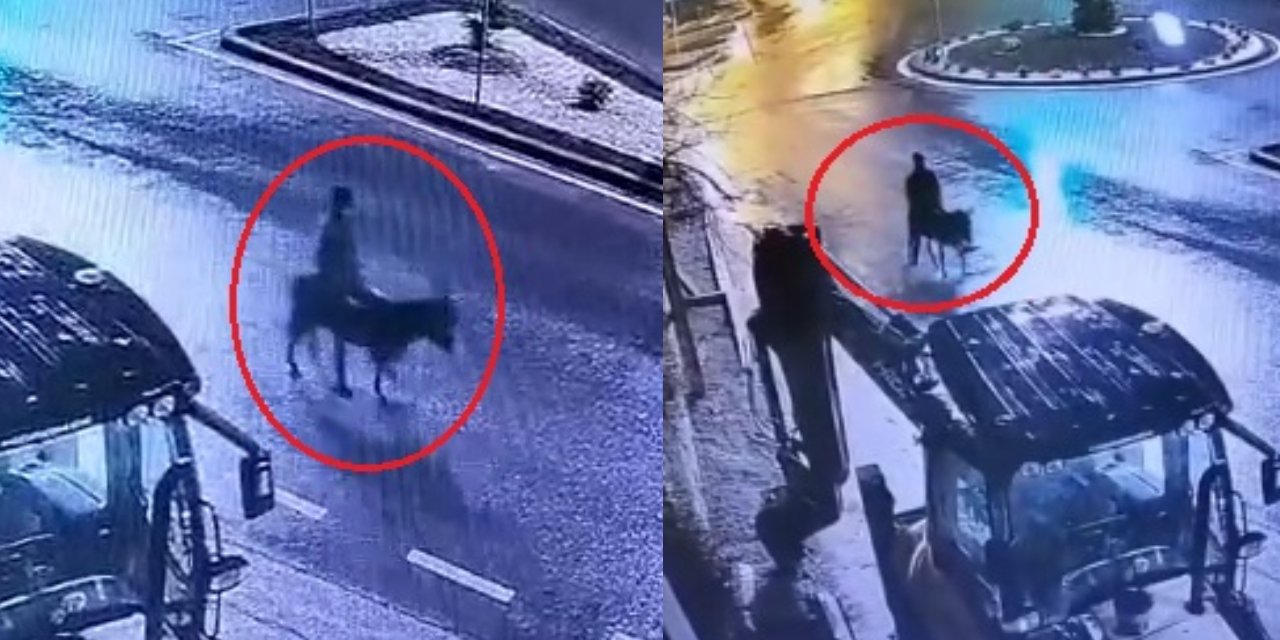 Altınları çaldı, eşeğe binip kaçtı! Kuyumcu soygununda yeni gelişme