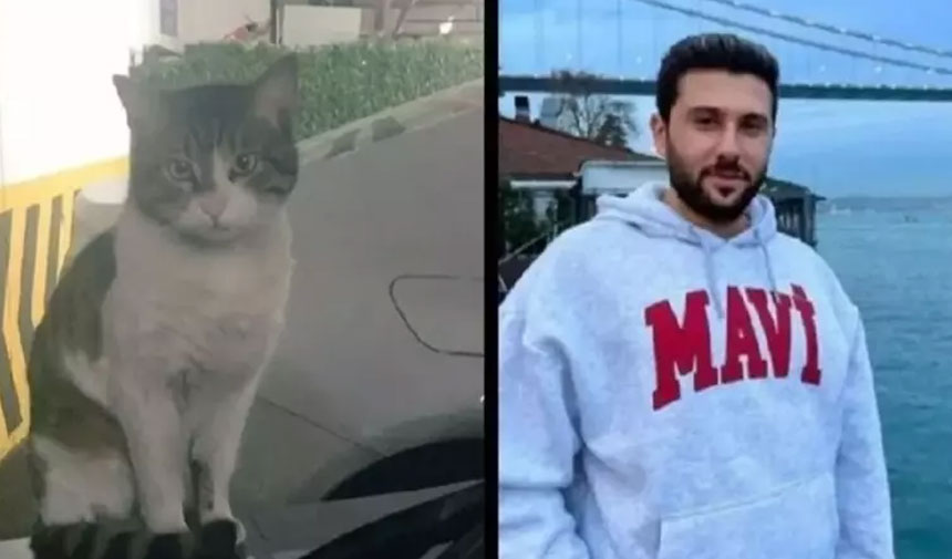 Kedi Eros'u katletmişti... İstinaf, İbrahim Keloğlan'ın hapis cezasını onadı