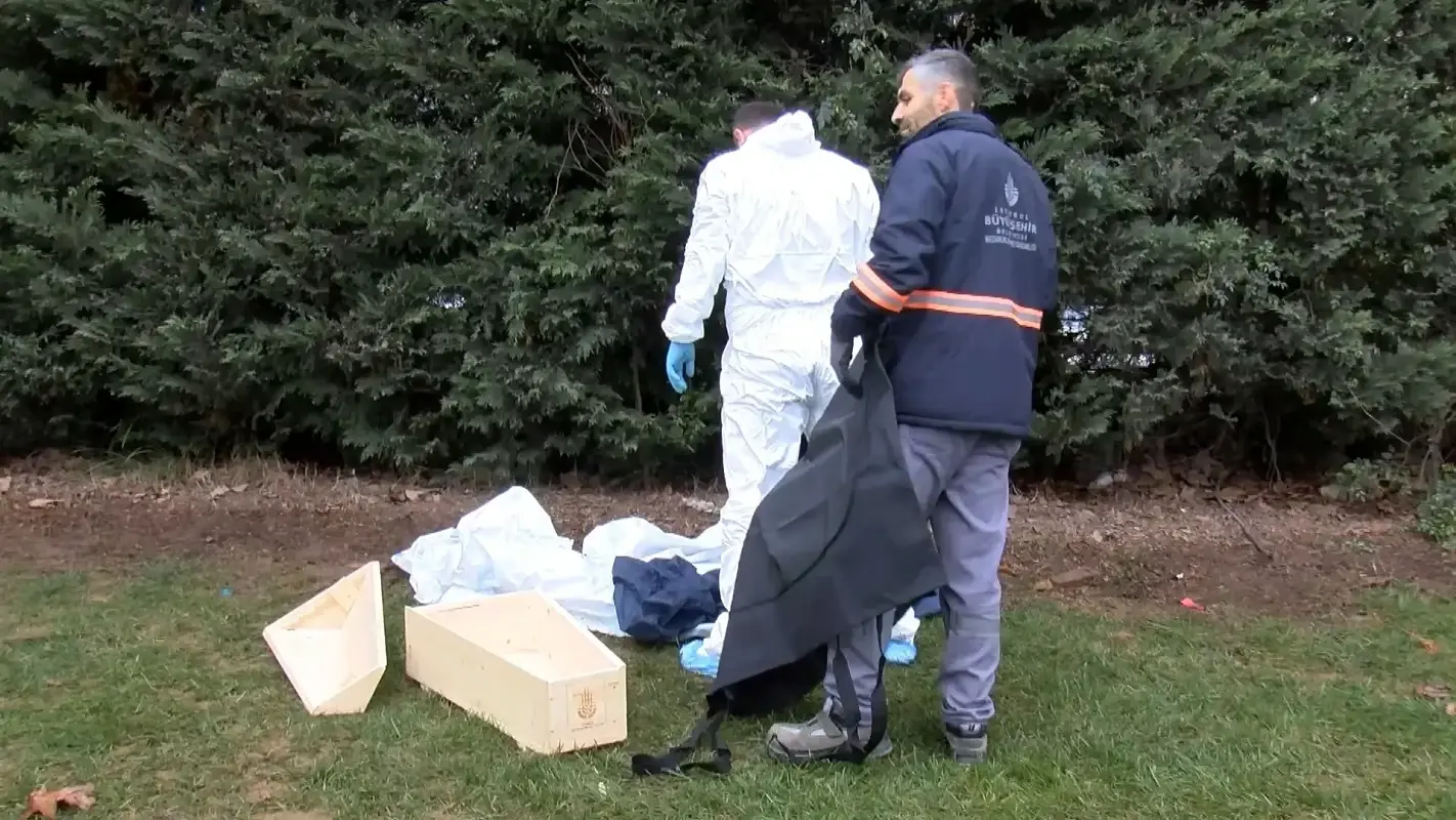 İstanbul'da dehşet: Yol kenarında bebek cesedi bulundu