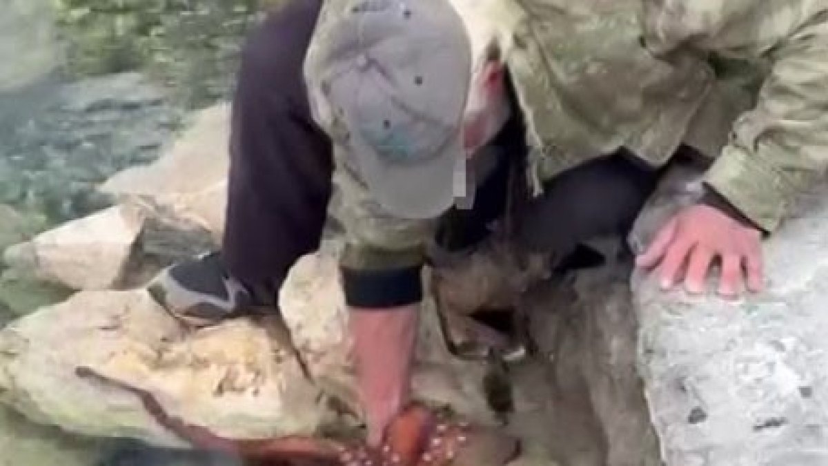 İzmir’de 3 kiloluk dev ahtapotu elleriyle yakaladı