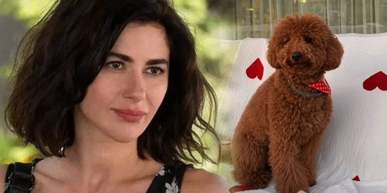 Nesrin Cavadzade köpeğine doğum günü yaptı: Lüks parti olay oldu