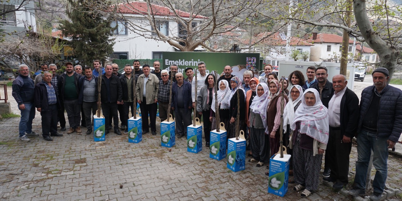 Eskişehir Sarıcakaya’da üreticilere 600 dut fidanı desteği