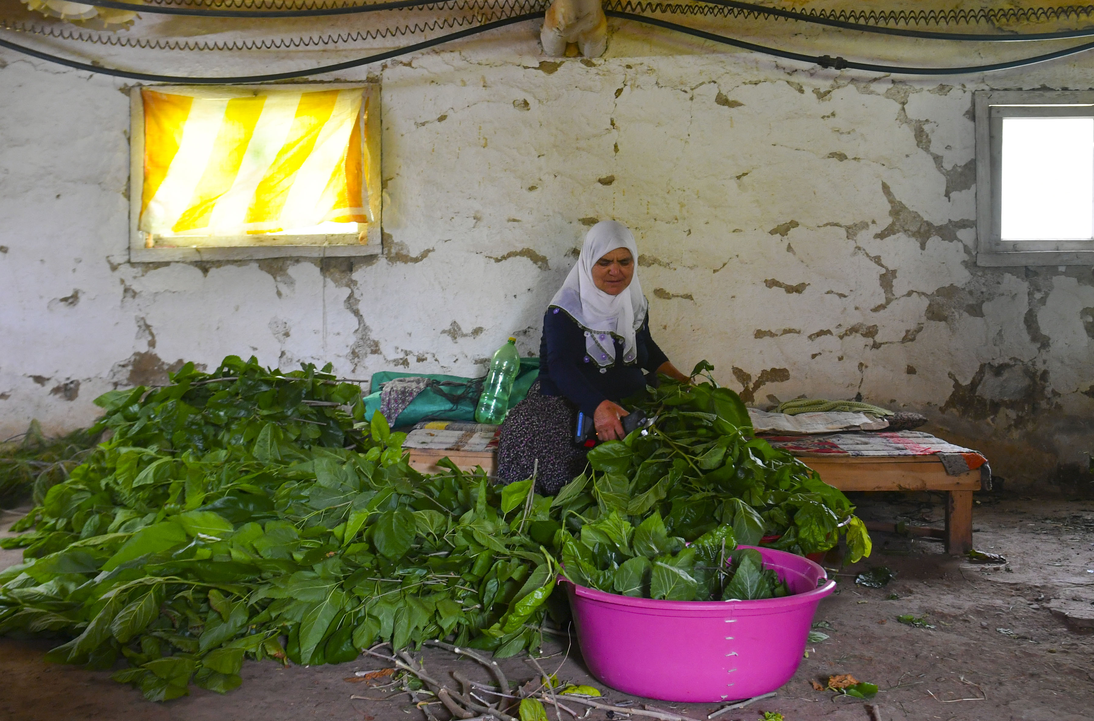 O mesleği yapanlar yaşadı! Belediye yüzde yüz hibe sağlıyor