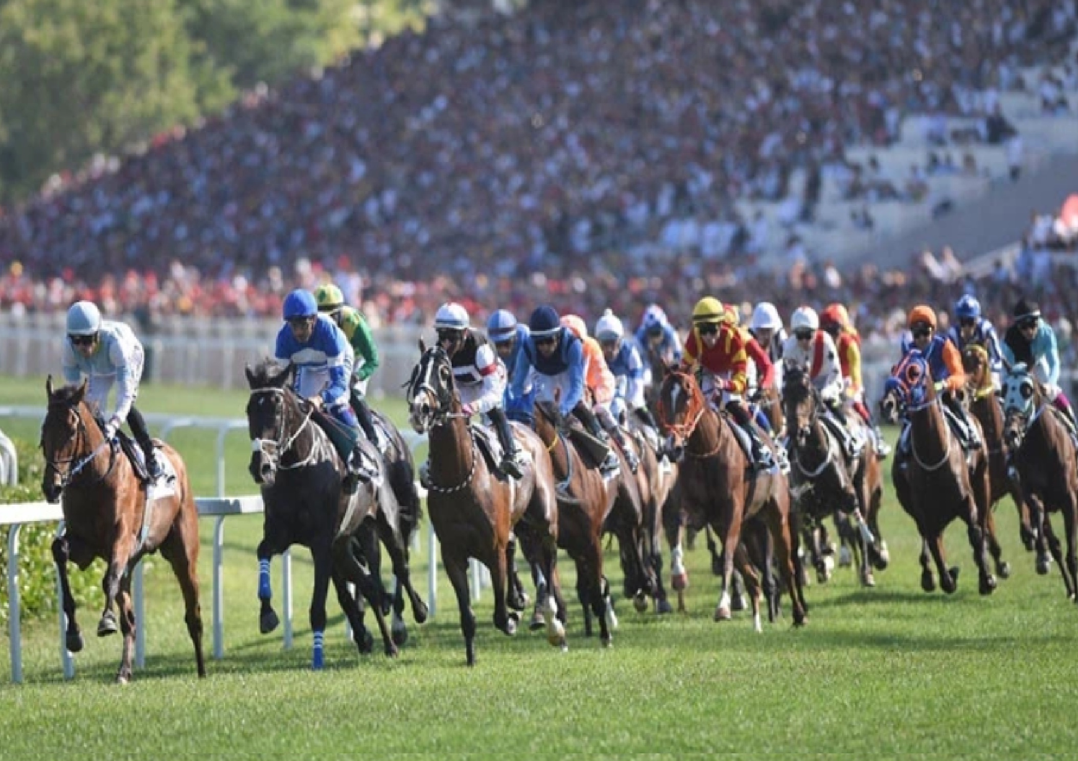 100. Gazi Koşusu'nun düzenleneceği tarihi belli oldu