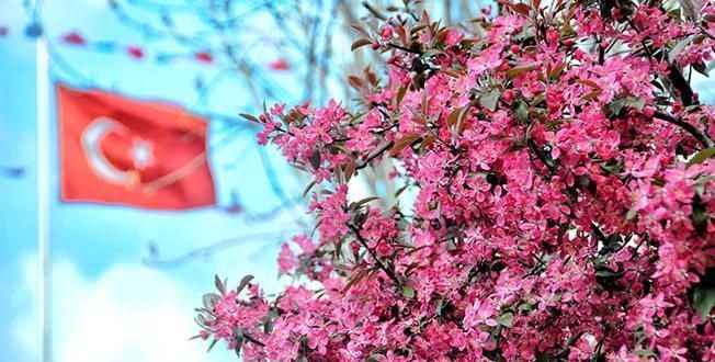 Türkiye'ye bahar geliyor