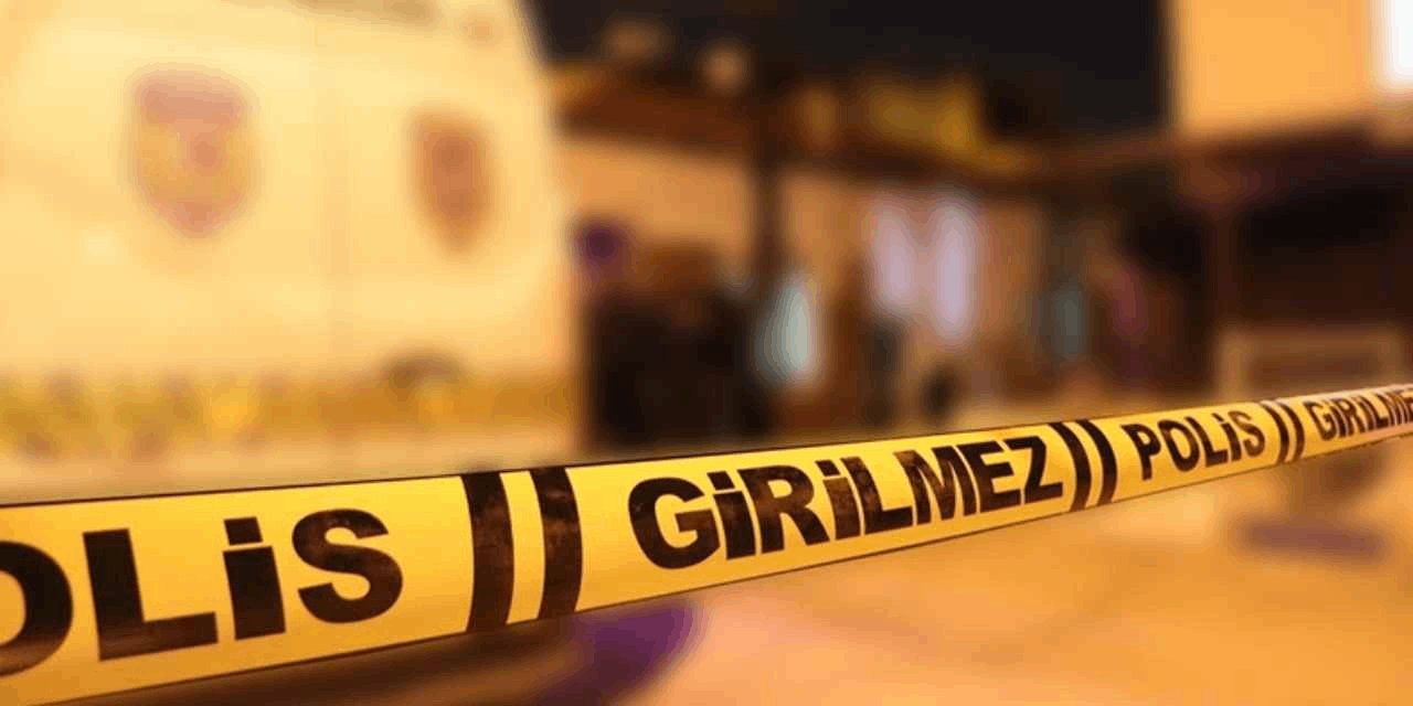 Hasta taşıyan ambulans uçuruma yuvarlandı