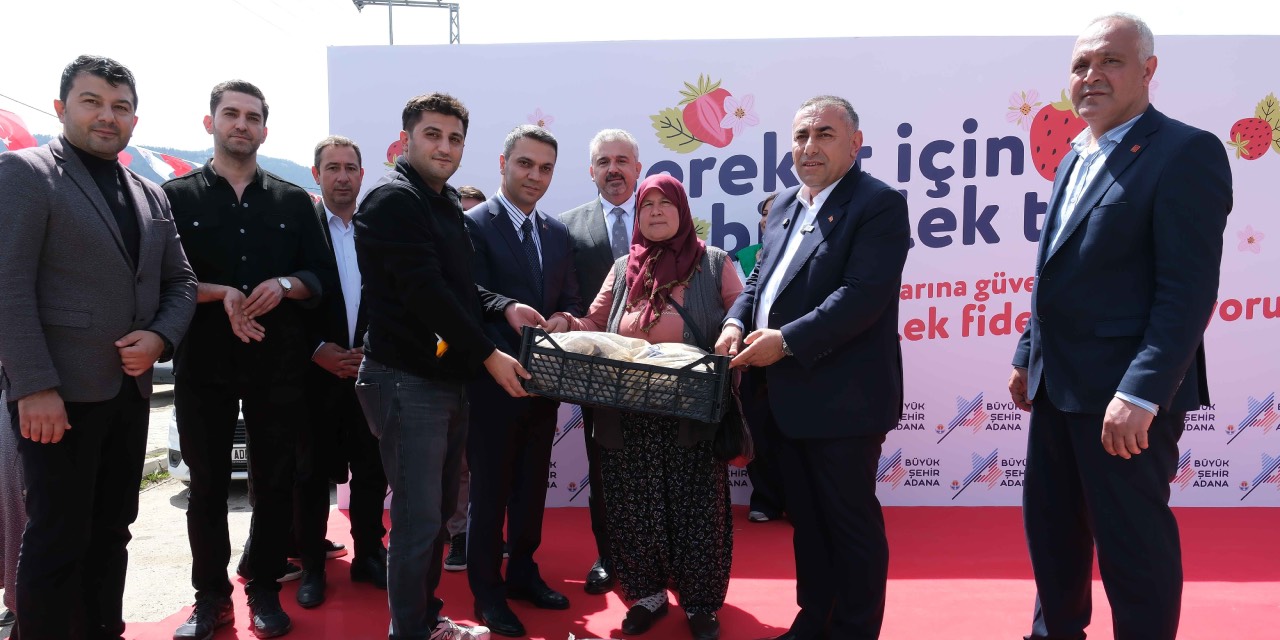 Adana’da üreticiye çilek fidesi desteği sürüyor