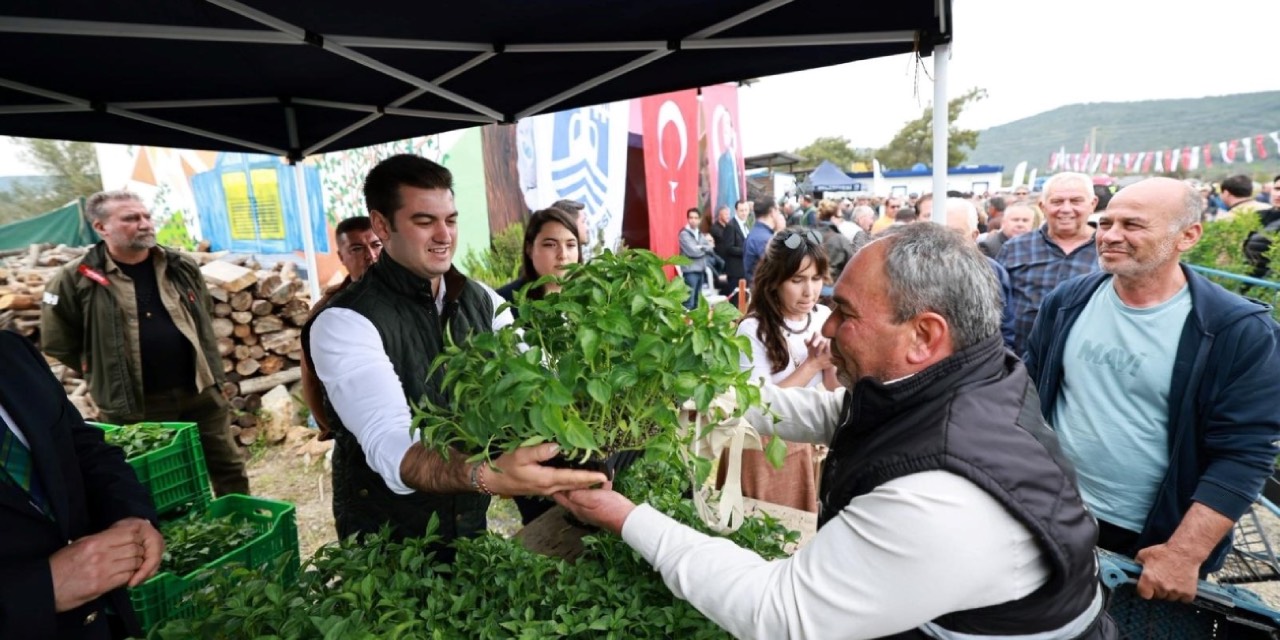 Bodrum’da üreticiler buluştu, fide dağıtımı ve agro turizm rotası tanıtıldı