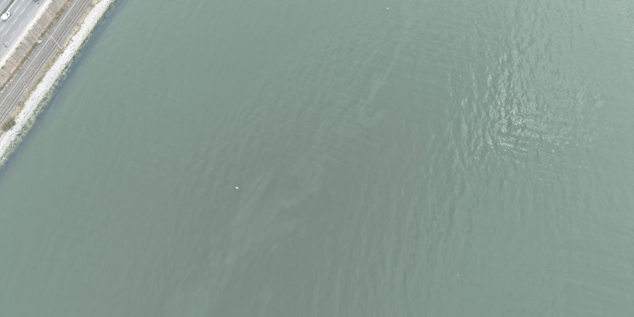 İzmir Körfezi’nde 11'inci kez kirlilik tespit edildi