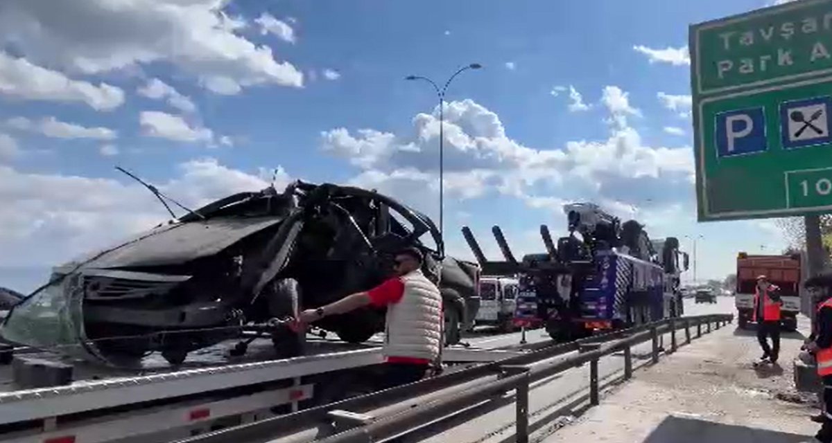 Yol kenarındaki yön levhasına ok gibi saplandı