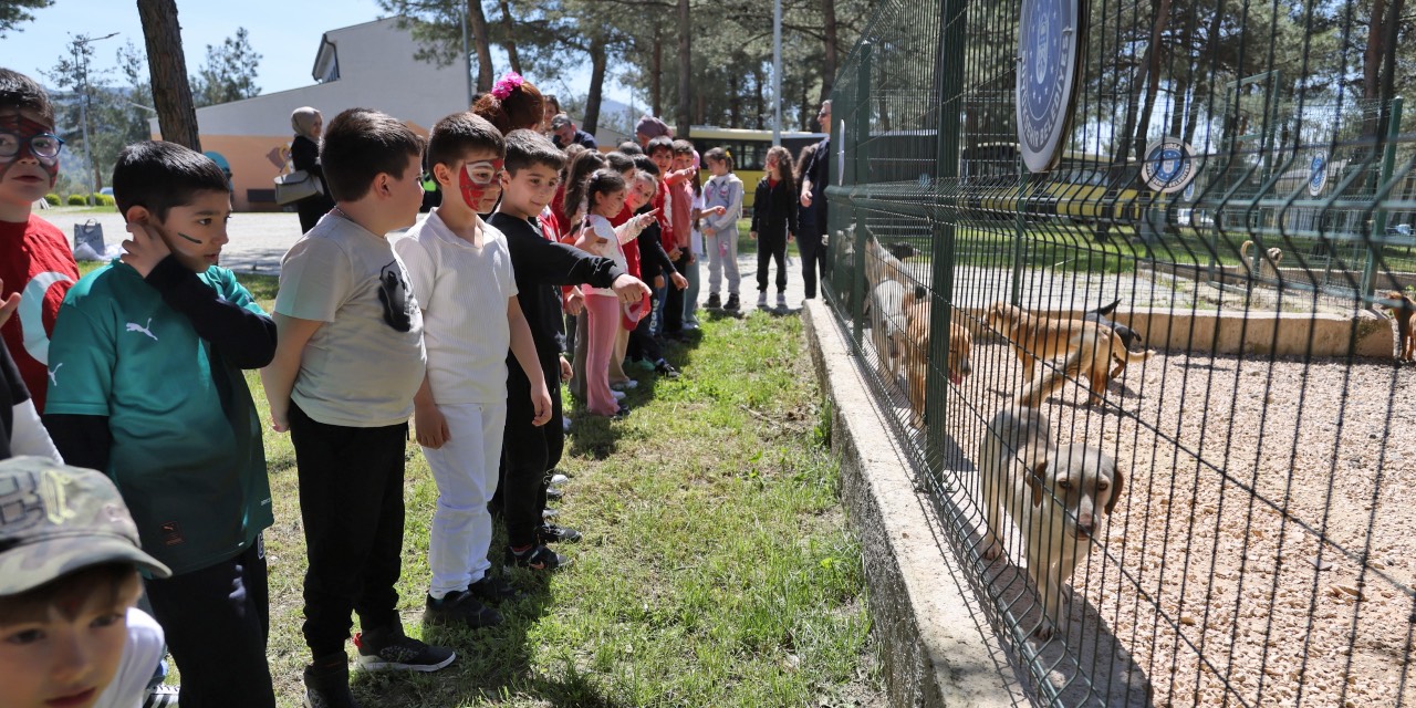 Bursa’da 23 Nisan etkinliğinde çocuklar hayvan bakımevinde bir araya geldi