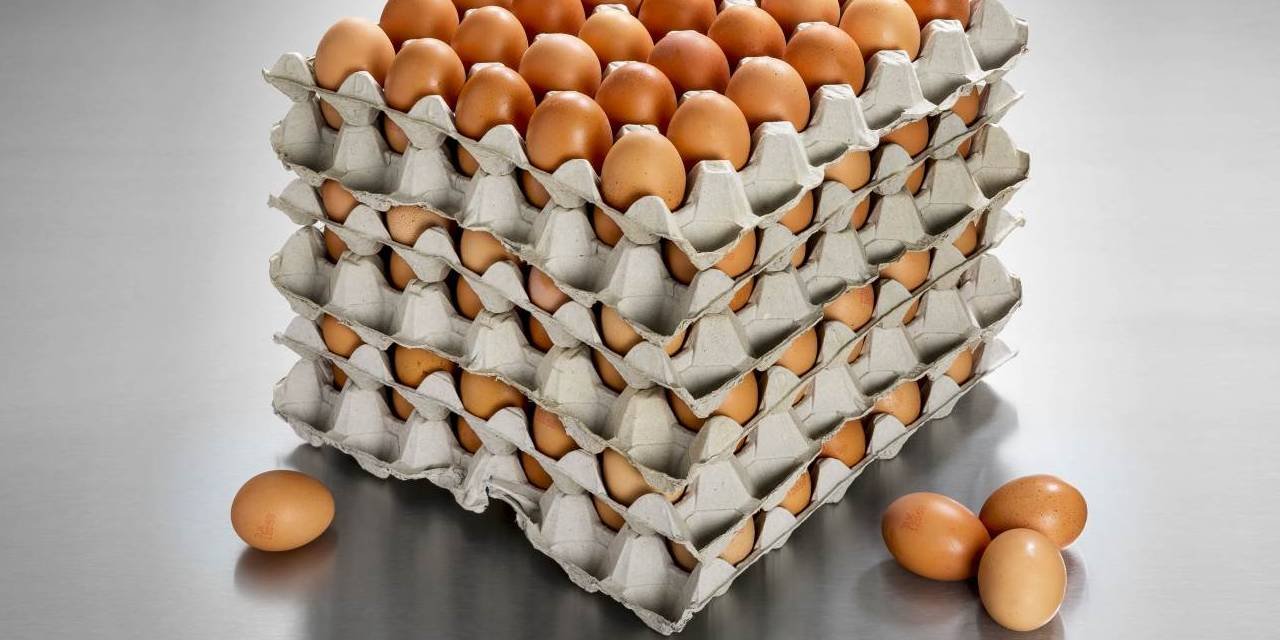 Yumurtaya zam gelecek mi? İhracat kararı sonrası endişe