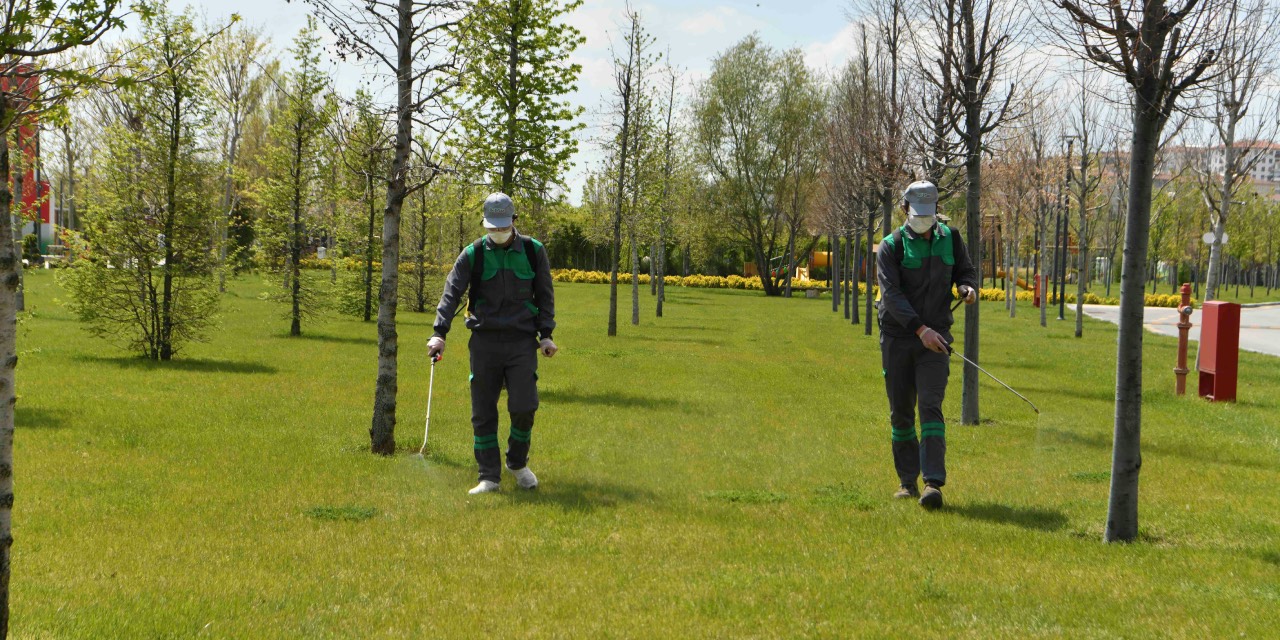 Ankara’da yaz öncesi haşereyle mücadele